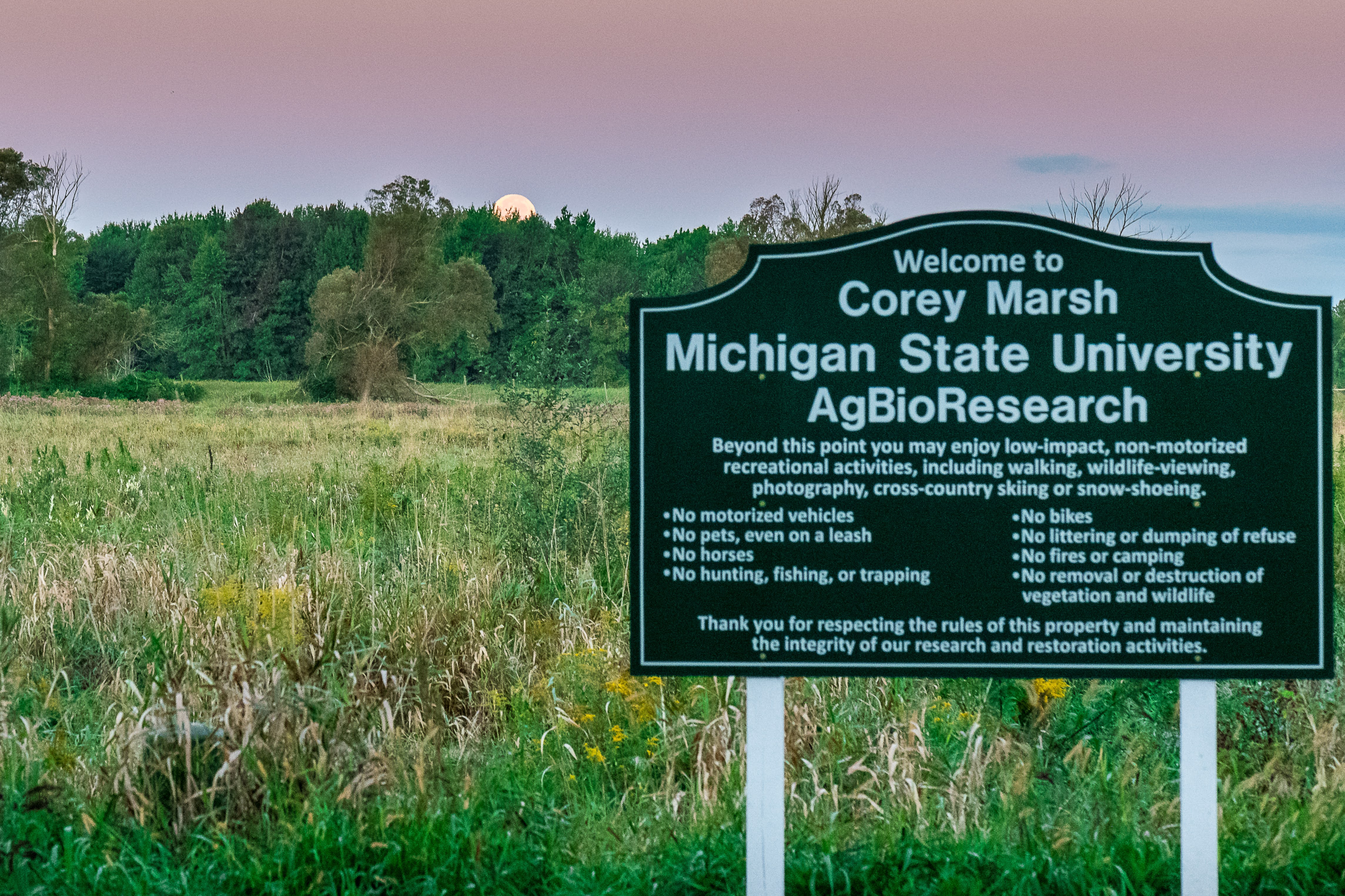 Corey Marsh sign